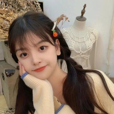 根西岛文学与土豆皮馅饼俱乐部